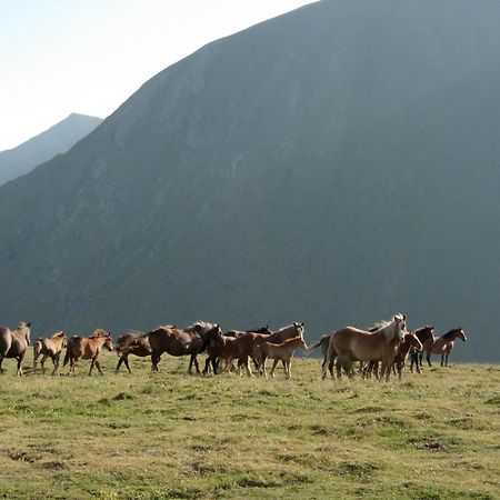 Casa Rural Era De Ferro Eril la Vall Dış mekan fotoğraf