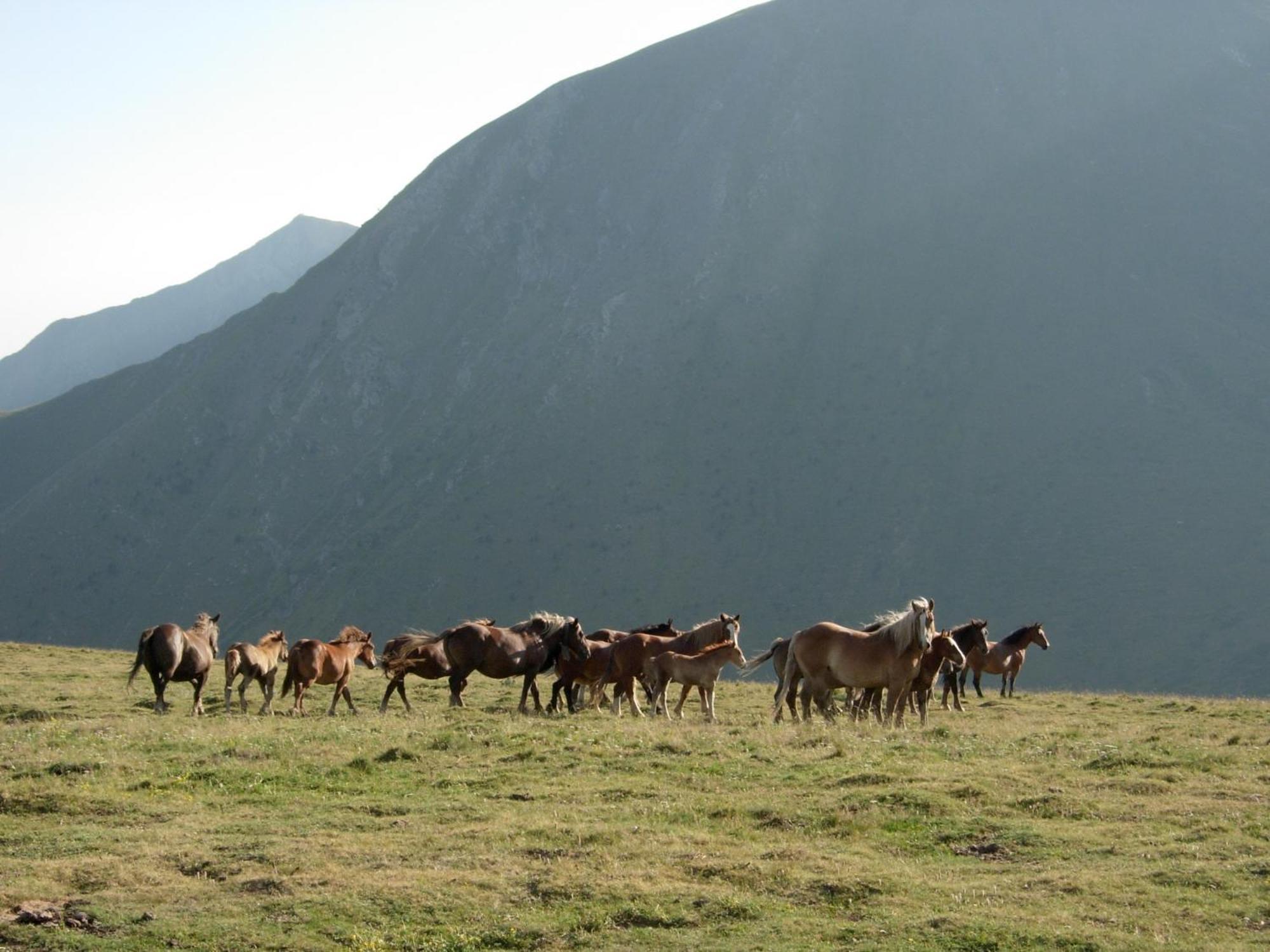 Casa Rural Era De Ferro Eril la Vall Dış mekan fotoğraf