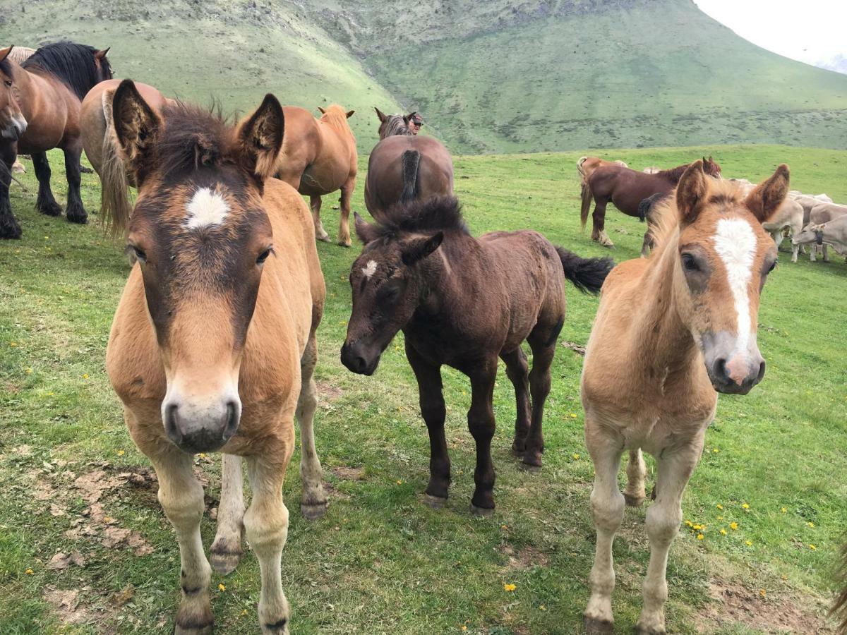 Casa Rural Era De Ferro Eril la Vall Dış mekan fotoğraf